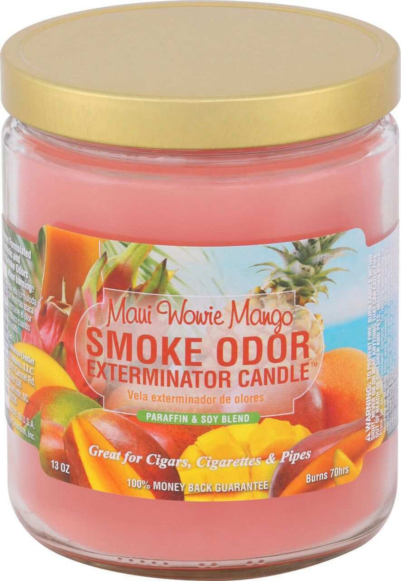 SMOKE ODOR: 13oz. Candle